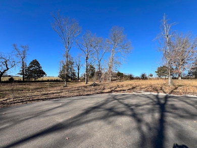 21 Cedar Ln, Willow Springs, MO 65793 - photo 2