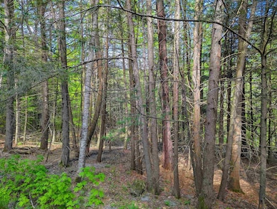 14 Brickyard Rd, Dover, VT 05341 - photo 6