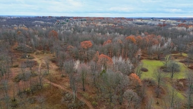 V L Hatton Rd, Farwell, MI 48622 - photo 2