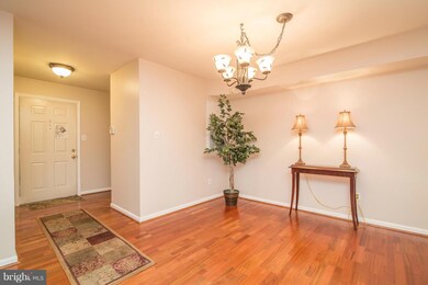 2217 Lovedale Ln unit B, Reston, VA 20191 - photo 3