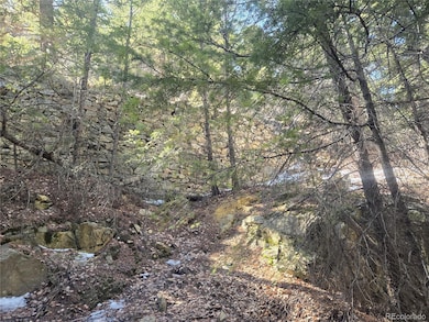 0 Fall River Rd unit REC4465696, Idaho Springs, CO 80452 - photo 7