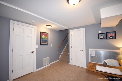 5 Lisa Ct, Lake In the Hills, IL 60156 - photo 4