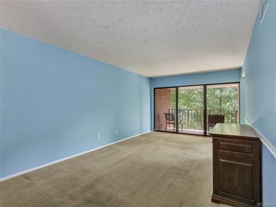 1507 Bronwyn Rd unit 303, Henrico, VA 23238 - photo 5