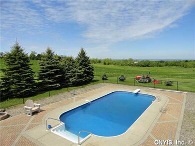 Pool In Ground