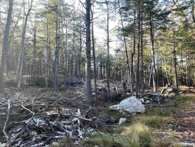 37 Forest Pond Rd, New Hampton, NH 03256 - photo 2