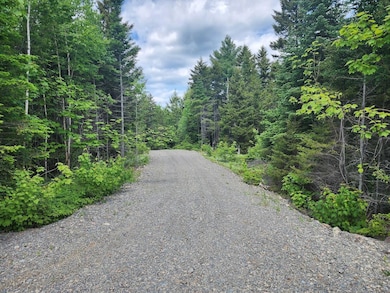 Lot  D Deer Point Rd W, Robbinston, ME 04671 - photo 4