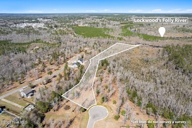 637 Squirrel Run SW, Supply, NC 28462 - photo 5