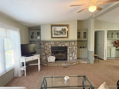 212 Man Hall Rd, Dothan, AL 36305 - photo 5