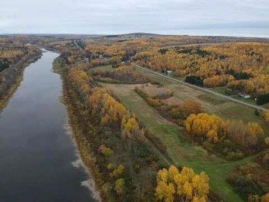 pulse-image-1762947046949