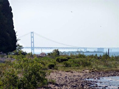 View of Mackinac Bridge from shore