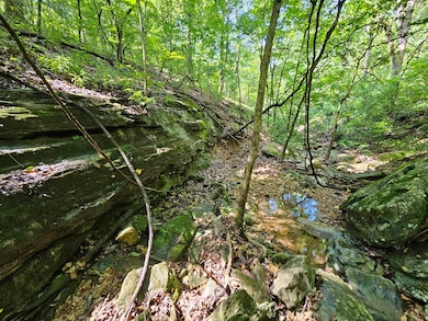 Plainview rd pic 991