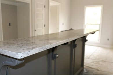 206 Greenfield Crossing, Brandon, MS 39042 - photo 3