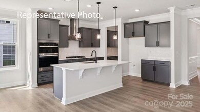 3043 Canvasback Way, Indian Trail, NC 28079 - photo 6