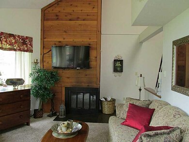 Living Room. Wood burning fireplace