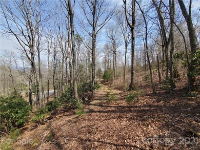 211 Secluded Hills Ln unit 12, Arden, NC 28704 - photo 4