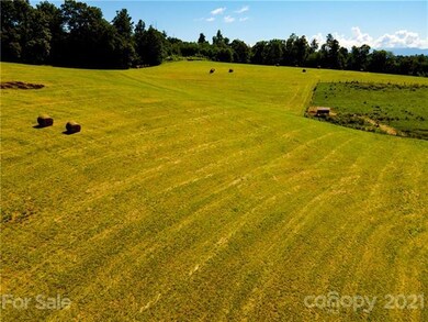 000 Don Felmet Rd, Leicester, NC 28748 - photo 5