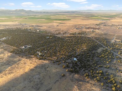 DJI_0963