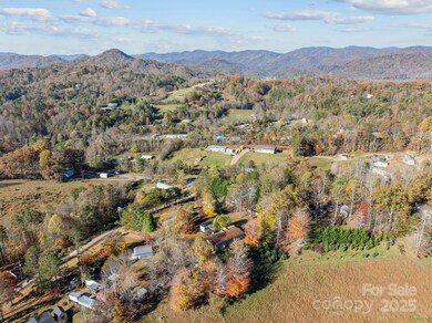 14 Harkins Ln, Marshall, NC 28753 - photo 5