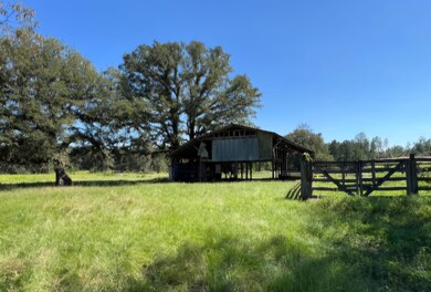 BARN VIEW 1