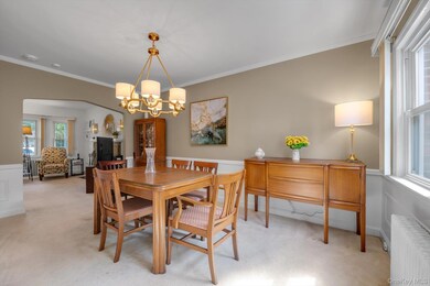 67 Maple Dr, New Hyde Park, NY 11040 - photo 6