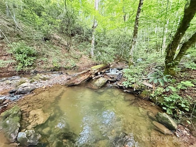 226 Wildcat Mountain Trail, Sylva, NC 28779 - photo 4