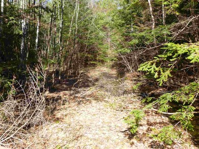 Map 42 Lot 328 Bristol Rd, Barnstead, NH 03225 - photo 6