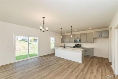 215 Townshead Way, O'Fallon, MO 63368 - photo 6