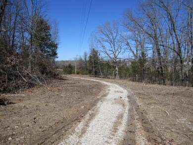 Driveway.JPG