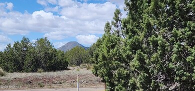 12 E Crookton Rd, Ash Fork, AZ 86320 - photo 3