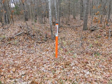 5 Acres Brights Rd, Gretna, VA 24557 - photo 7