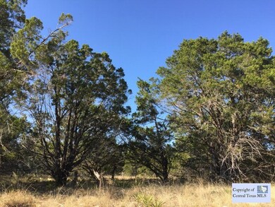 Looking towards the road
