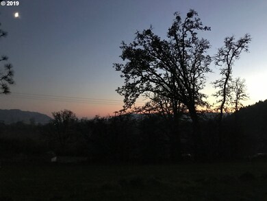 39400 Richardson Gap Rd, Scio, OR 97374 - photo 6