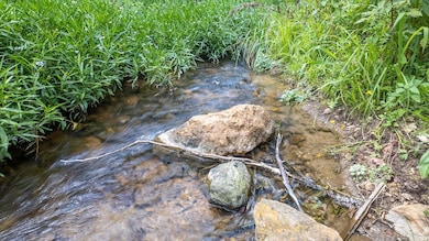 180 N 3rd St, Mammoth Spring, AR 72554 - photo 4