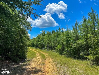 0 Oakley Rd unit 24338612, Hybart, AL 36452 - photo 5