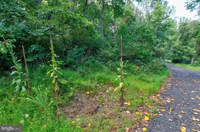 0 Old Ski Lodge Ln unit VARP2001236, Washington, VA 22747 - photo 2