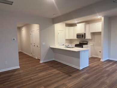 1069 Cornelia St, Elgin, SC 29045 - photo 7