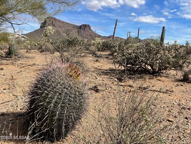 7305 N van Ark Rd unit 2, Tucson, AZ 85743 - photo 5