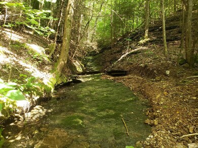 76 AC. Masters Rd, Cookeville, TN 38506 - photo 4