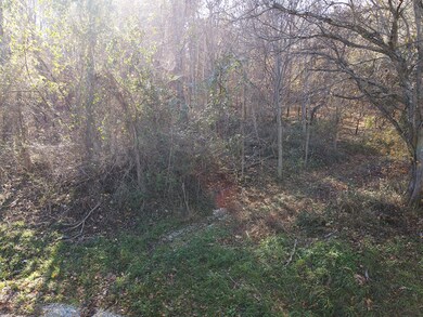 6310 Hwy 200, Monticello, KY 42633 - photo 4