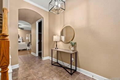 23919 Waterhole Ln, San Antonio, TX 78261 - photo 5