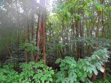 0 104th St unit 12042045, Grant, MI 49327 - photo 2