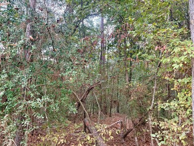 TBD Magnolia Duke Dr, Livingston, TX 77351 - photo 2