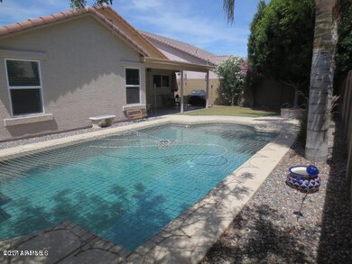 pool with net