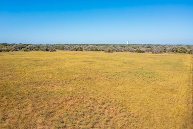 1790 W Goodwin St, Pleasanton, TX 78064 - photo 6