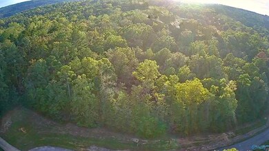 LOT 232 Stoney Point Rd, Double Springs, AL 35553 - photo 3
