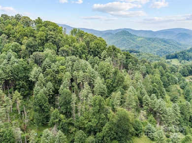 0000 Bee Log Rd, Burnsville, NC 28714 - photo 7