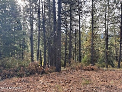 NKA Rd, Tensed, ID 83870 - photo 4