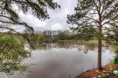 View From the Deck