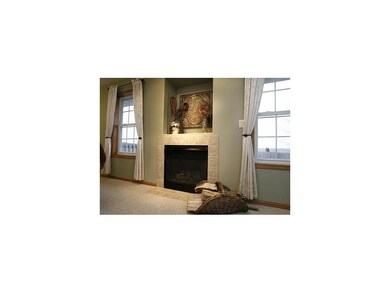 Other. Fireplace
