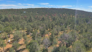 0 Ranger Ave unit 25579528, Timberon, NM 88350 - photo 5